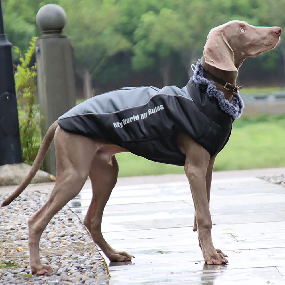 Dog Clothes Autumn And Winter Cotton Coat Hair Collar Reflective Costume Pet Warm And Thickened
Dog Clothes Autumn And Winter Cotton Coat Hair Collar Reflective Costume Pet Warm And Thickened