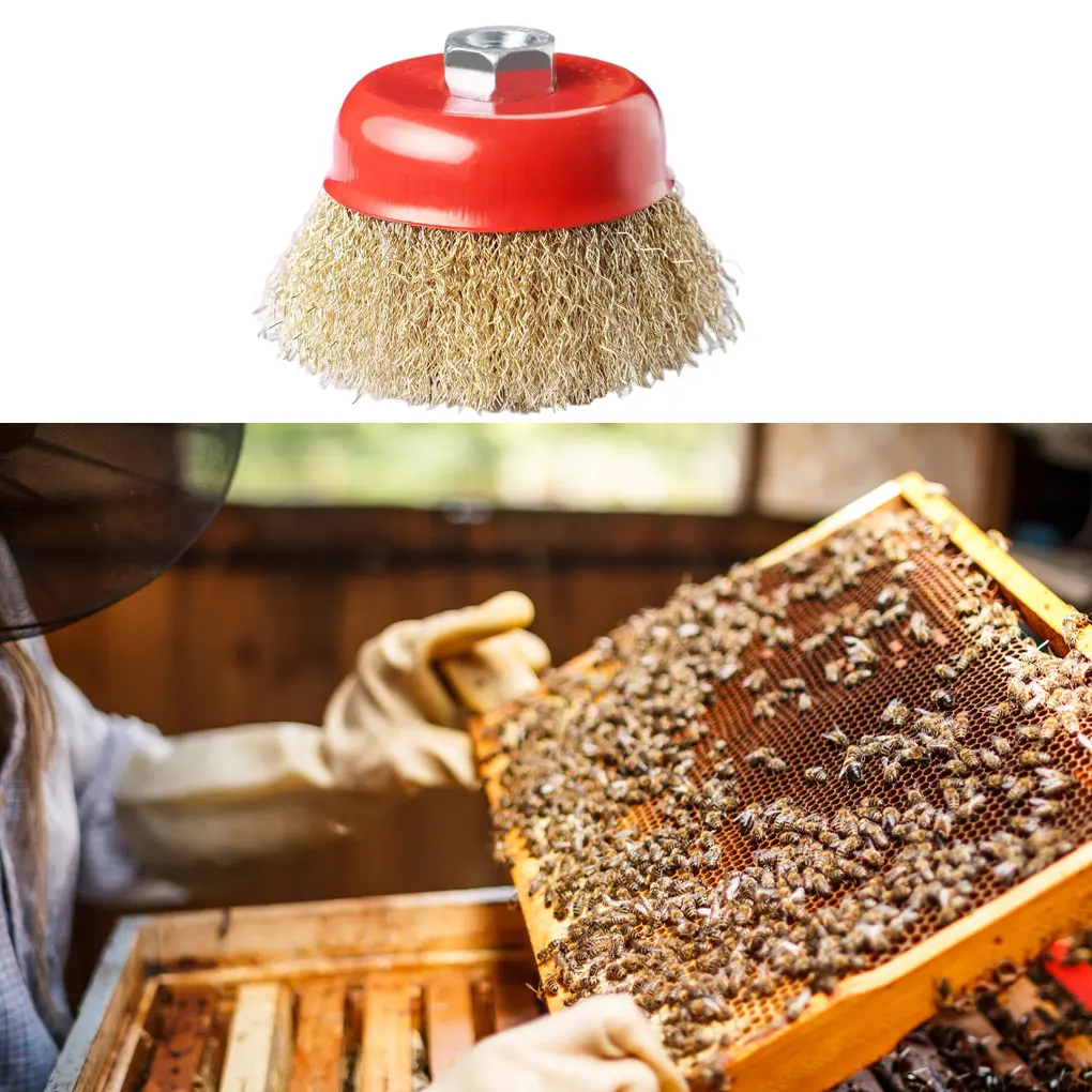 2pcs Crimped Wire Wheel Cup Brush Stainless Steel Rust Removal Reusable Bowl-shape Hole 22 16 Angle Grinder Tool Abrasive Tools
2pcs Crimped Wire Wheel Cup Brush Stainless Steel Rust Removal Reusable Bowl-shape Hole 22 16 Angle Grinder Tool Abrasive Tools