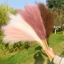 70/110cm Bulrush Natural Dried Flower Artificial Plants Branch Pampas Grass Phragmites Fake Flower Wedding Party Home Decoration
70/110cm Bulrush Natural Dried Flower Artificial Plants Branch Pampas Grass Phragmites Fake Flower Wedding Party Home Decoration