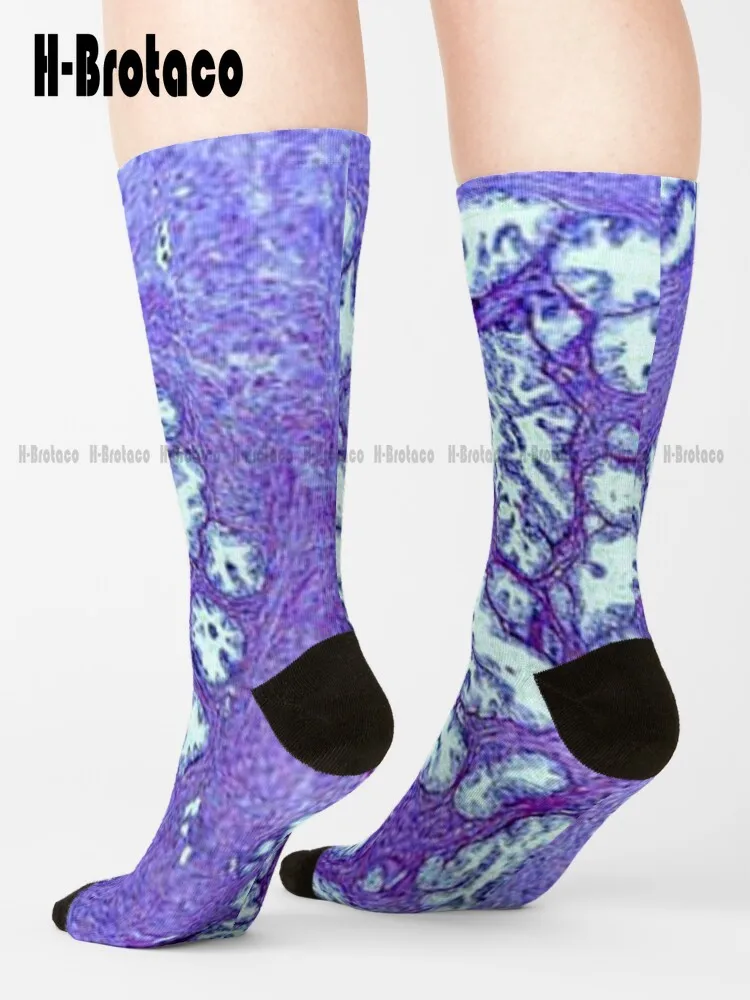 Prostata Tissue Socks Mens Socks Size Custom Gift Harajuku Retro Gd Hip Hop Street Skateboard Socks Teen Youth Socks Casual Art
Prostata Tissue Socks Mens Socks Size Custom Gift Harajuku Retro Gd Hip Hop Street Skateboard Socks Teen Youth Socks Casual Art