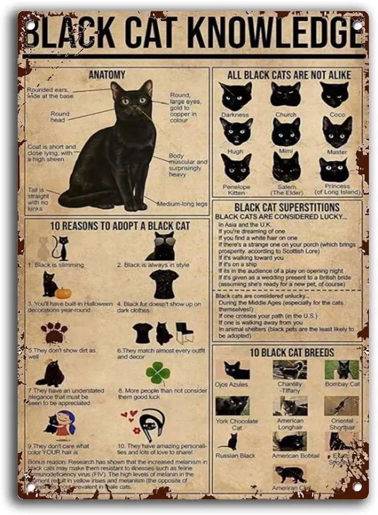 Black Cat Knowledge Logo Black Cat Enthusiasts Vintage Tin Metal Signs Personalize Fun Wall Decor 8x12 Inches
Black Cat Knowledge Logo Black Cat Enthusiasts Vintage Tin Metal Signs Personalize Fun Wall Decor 8x12 Inches