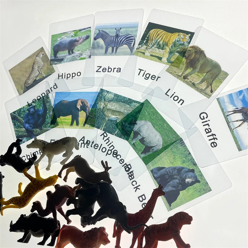 Montessori Toys Language Material Animal Matching Game Educational Toys For Children Teaching Aid Christmas Gift G86Y
Montessori Toys Language Material Animal Matching Game Educational Toys For Children Teaching Aid Christmas Gift G86Y