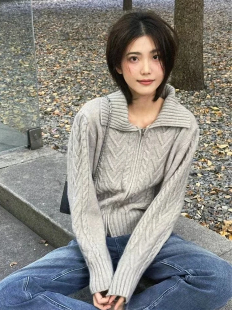 Deeptown Korean Fashion Grey Knitted Cardigan Women Vintage Zip Up Sweater Female Casual Solid Harajuku Long Sleeve Tops Winter
Deeptown Korean Fashion Grey Knitted Cardigan Women Vintage Zip Up Sweater Female Casual Solid Harajuku Long Sleeve Tops Winter