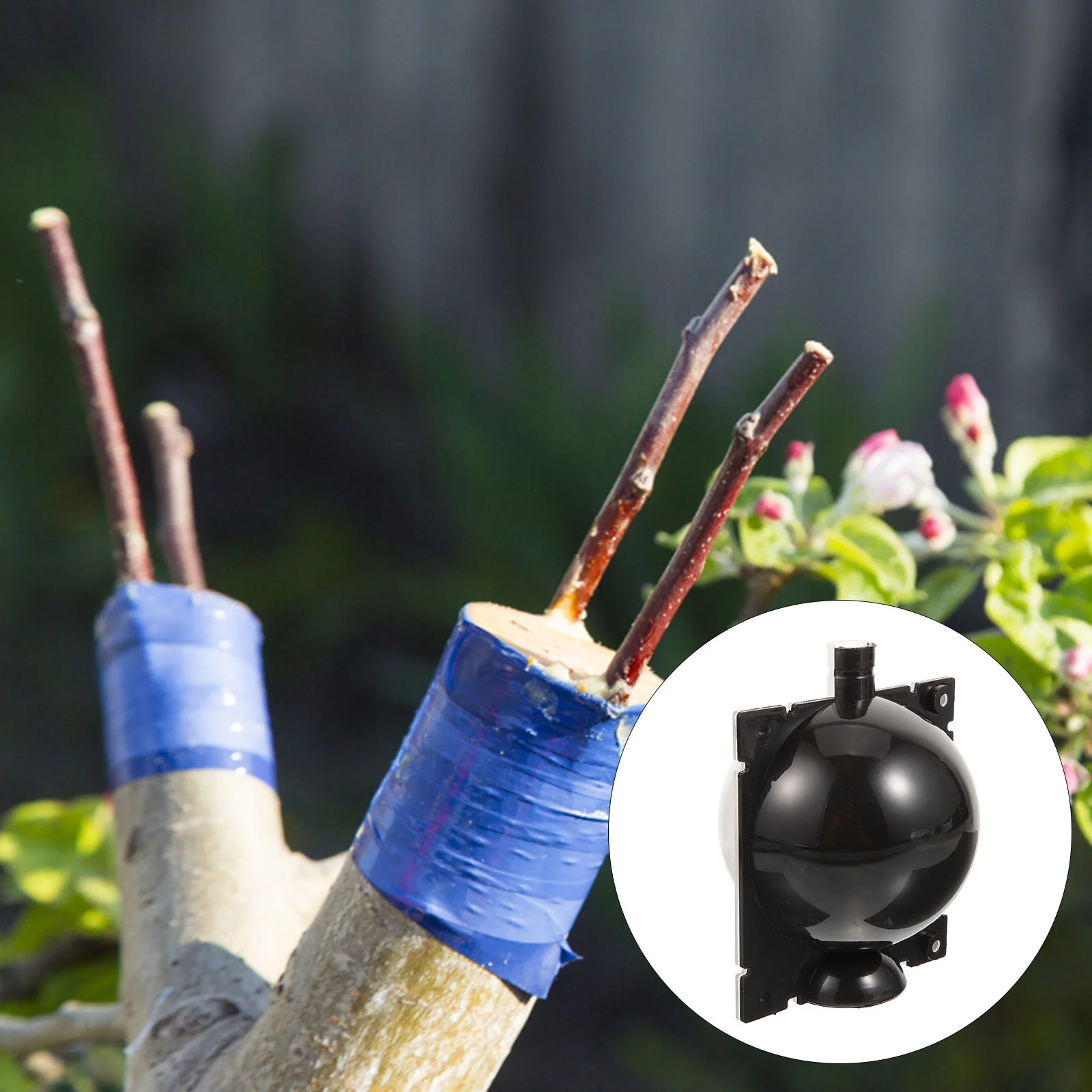 Plant Propagation Box Tree Grafting Tool Air Layering Rooting Growing Ball Genitals
Plant Propagation Box Tree Grafting Tool Air Layering Rooting Growing Ball Genitals