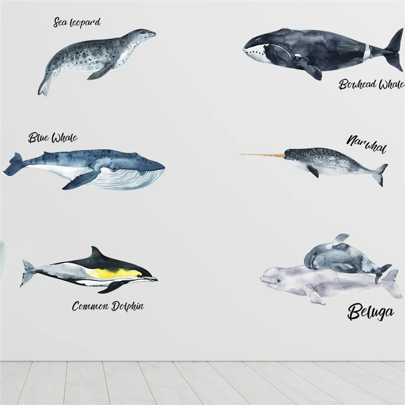 Dolphin Whale Narwhal Beluga Pattern Wall Stickers For Shop Studio Office Home Decoration Ocean Fish Mural Art Pvc Decals Poster
Dolphin Whale Narwhal Beluga Pattern Wall Stickers For Shop Studio Office Home Decoration Ocean Fish Mural Art Pvc Decals Poster