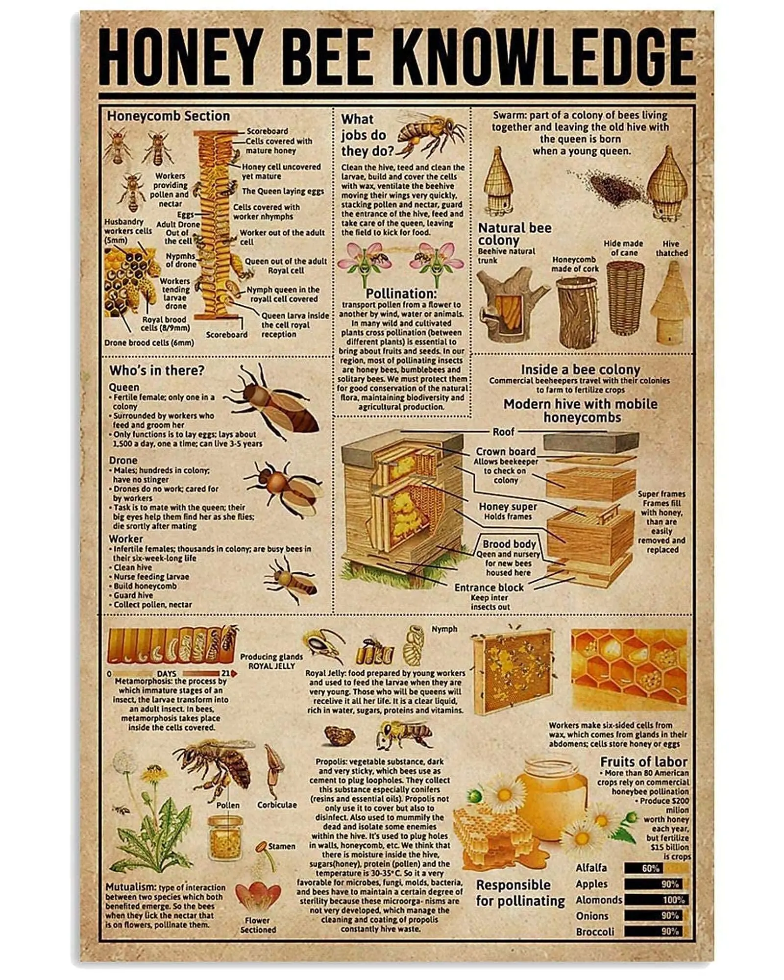 

Veidsuh Honey Bee Knowledge 1 Vintage Novelty Funny Home Bathroom Cottage Farm Rustic Man Cave Parlor Retro Tin Sign Mural Wall