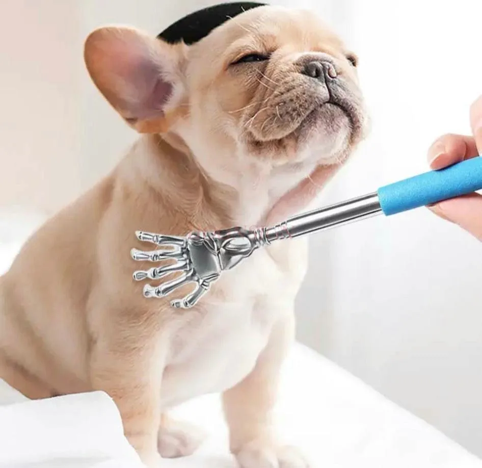 Cats, Dogs, Scratches, Scratches, Scratches, Scratches, Interactive Toys, Human Pets, Universal Pets, Scratches, Multifunctional
Cats, Dogs, Scratches, Scratches, Scratches, Scratches, Interactive Toys, Human Pets, Universal Pets, Scratches, Multifunctional