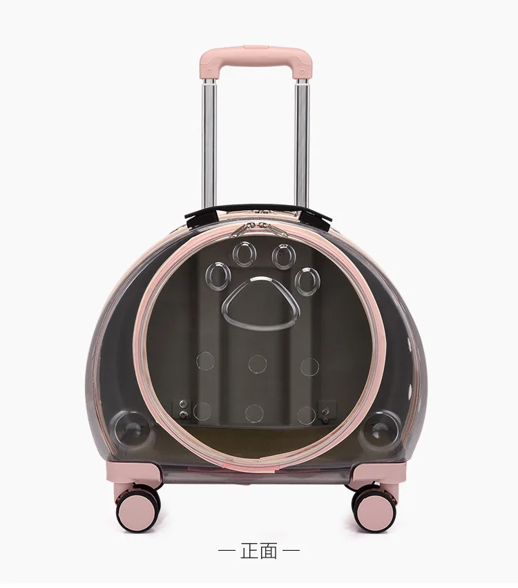 S45b80fcc696d42fb8fcd044957e5c07e9