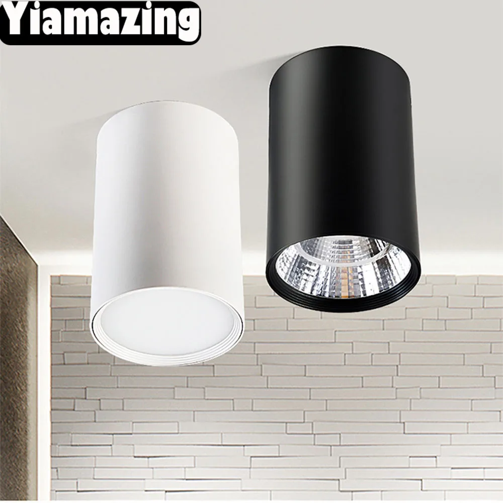 

220V 110 V Surface Mounted LED Downlight Dimmable 7w 9W 12W 15W 18W 24W 30W 36W Foyer LED Ceiling Lamp Spot Light