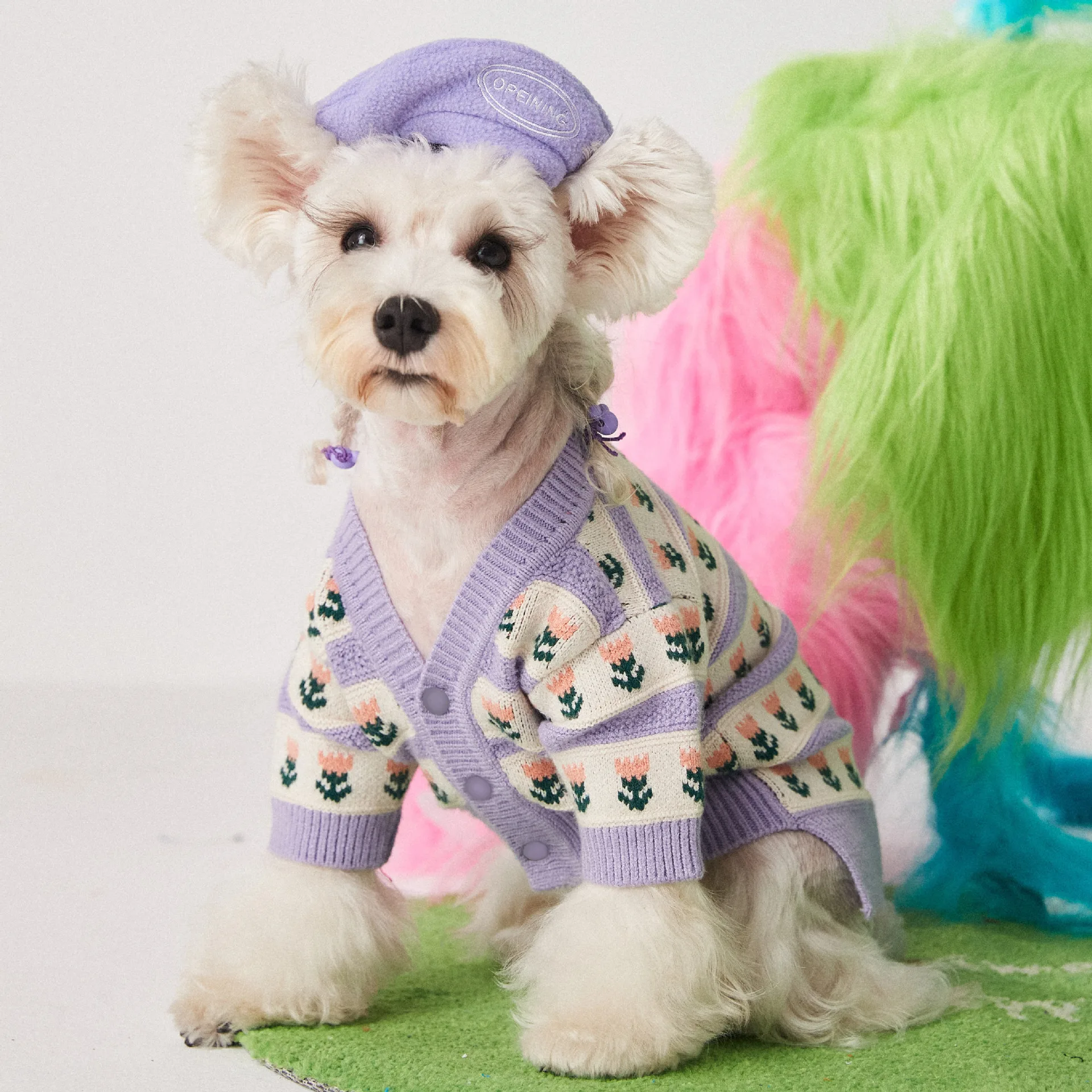 Cute Cotton Autumn Winter Flower Knitted Sweater Pet Dog Clothes Cardigan Purple Dogs Clothing Cat Warm Print Girl Chihuahua
Cute Cotton Autumn Winter Flower Knitted Sweater Pet Dog Clothes Cardigan Purple Dogs Clothing Cat Warm Print Girl Chihuahua