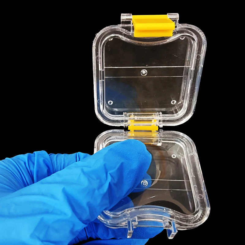 Denture Storage Box Plastic Denture Tooth Box with Film Dental Implant Membrane Tooth Box
Denture Storage Box Plastic Denture Tooth Box with Film Dental Implant Membrane Tooth Box