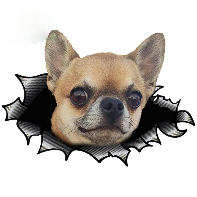 Vinyl 3D Cute Chihuahua Torn Metal Decal Reflective Car Styling Trunk Bumper Decor Scratch-Proof Pet Dog Car Stickers Kk13*9cm
Vinyl 3D Cute Chihuahua Torn Metal Decal Reflective Car Styling Trunk Bumper Decor Scratch-Proof Pet Dog Car Stickers Kk13*9cm