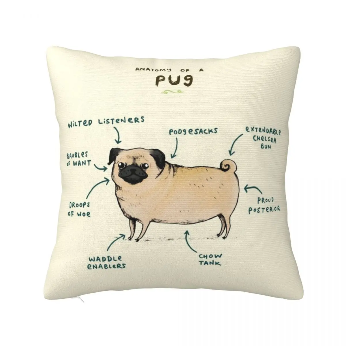 

Anatomy of a Pug Throw Pillow Luxury Pillow Case Cushions For Decorative Sofa Sofa Cover Pillowcases For Pillows