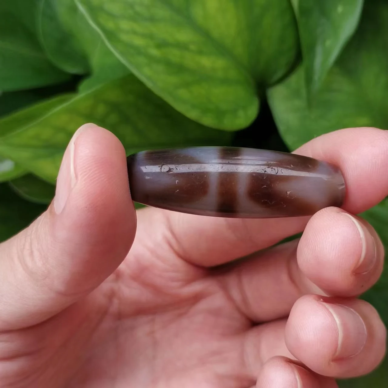 3pcs/lot natural old agate dzi texture double tiger tooth aquarium six-petal lotus brown weathered pulp brown oval column taki 
3pcs/lot natural old agate dzi texture double tiger tooth aquarium six-petal lotus brown weathered pulp brown oval column taki