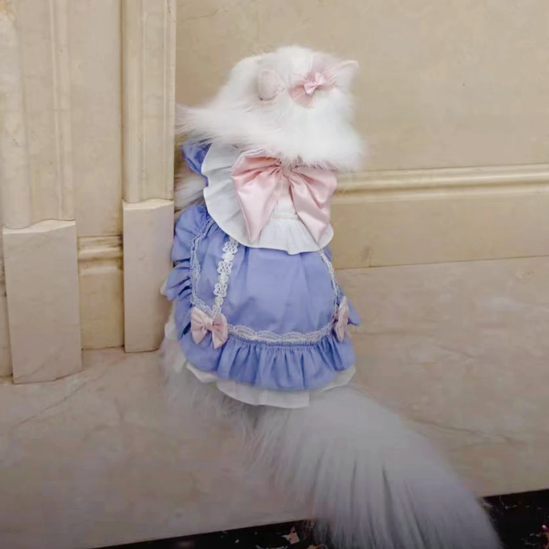 Dog Clothes, Pure Cotton Maid Lolita Style Cat Dress with Bow, For All Seasons, Pet Pincess Skirt For Kitten, Puppy, Teddy
Dog Clothes, Pure Cotton Maid Lolita Style Cat Dress with Bow, For All Seasons, Pet Pincess Skirt For Kitten, Puppy, Teddy