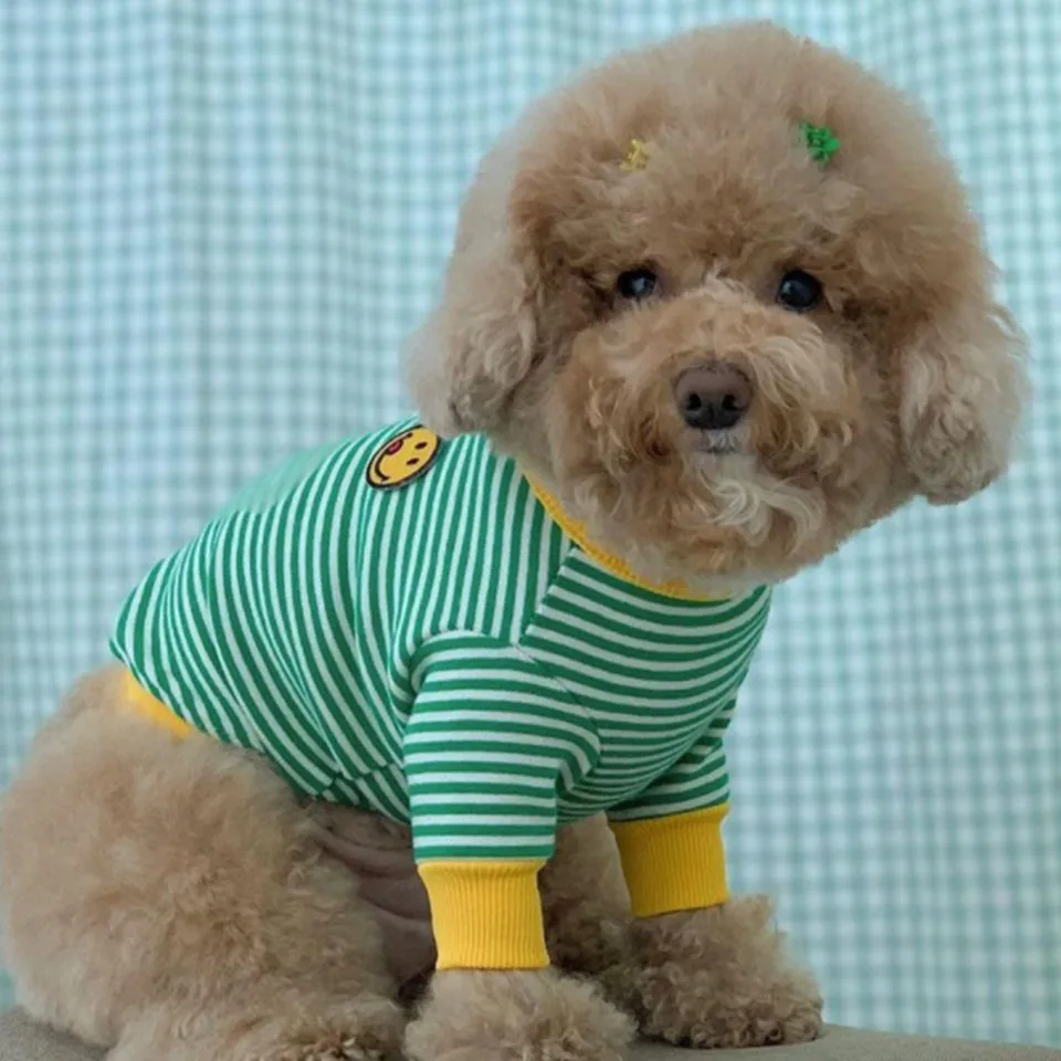 Dog Plaid T-shirt - Cute Smiley Face Dog Plaid T-shirt - Cute Smiley Face