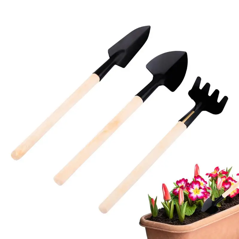 Набор для садовых плантаторов, инструменты для суккулентных растений, Мини садовые ручные инструменты, комнатный бонсай, миниатюрная планплантация
Набор для садовых плантаторов, инструменты для суккулентных растений, Мини садовые ручные инструменты, комнатный бонсай, миниатюрная планплантация