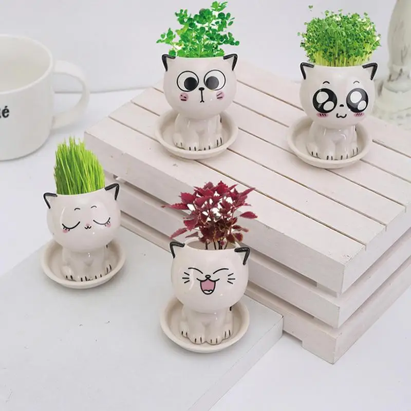 

Ceramic Flowerpot Mini Cat Shaped Cartoon Cute Potted Plant Desktop Potted Expression Cat Plant Pot Desk Decorate Small Ornament