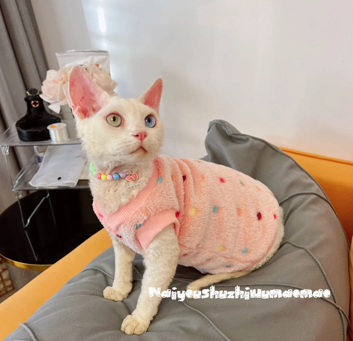 Розовая кошачья одежда, мягкий свитер для кота Sphnx, теплая плюшевая домашняя одежда для котят, милый пиджак с длинным рукавом, шляпа, костюм для Devon Rex
Розовая кошачья одежда, мягкий свитер для кота Sphnx, теплая плюшевая домашняя одежда для котят, милый пиджак с длинным рукавом, шляпа, костюм для Devon Rex