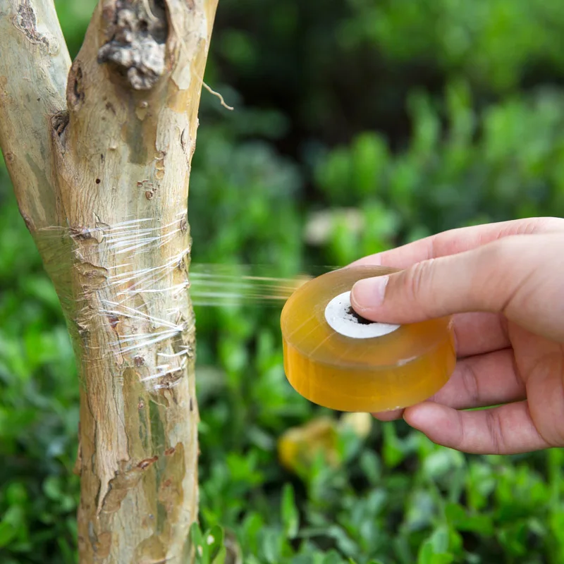 Self-adhesive Agricultural Fruit Tree Belt Grafting Tape Plastic Transparent Stretch Film Grafting for Garden Tools
Self-adhesive Agricultural Fruit Tree Belt Grafting Tape Plastic Transparent Stretch Film Grafting for Garden Tools