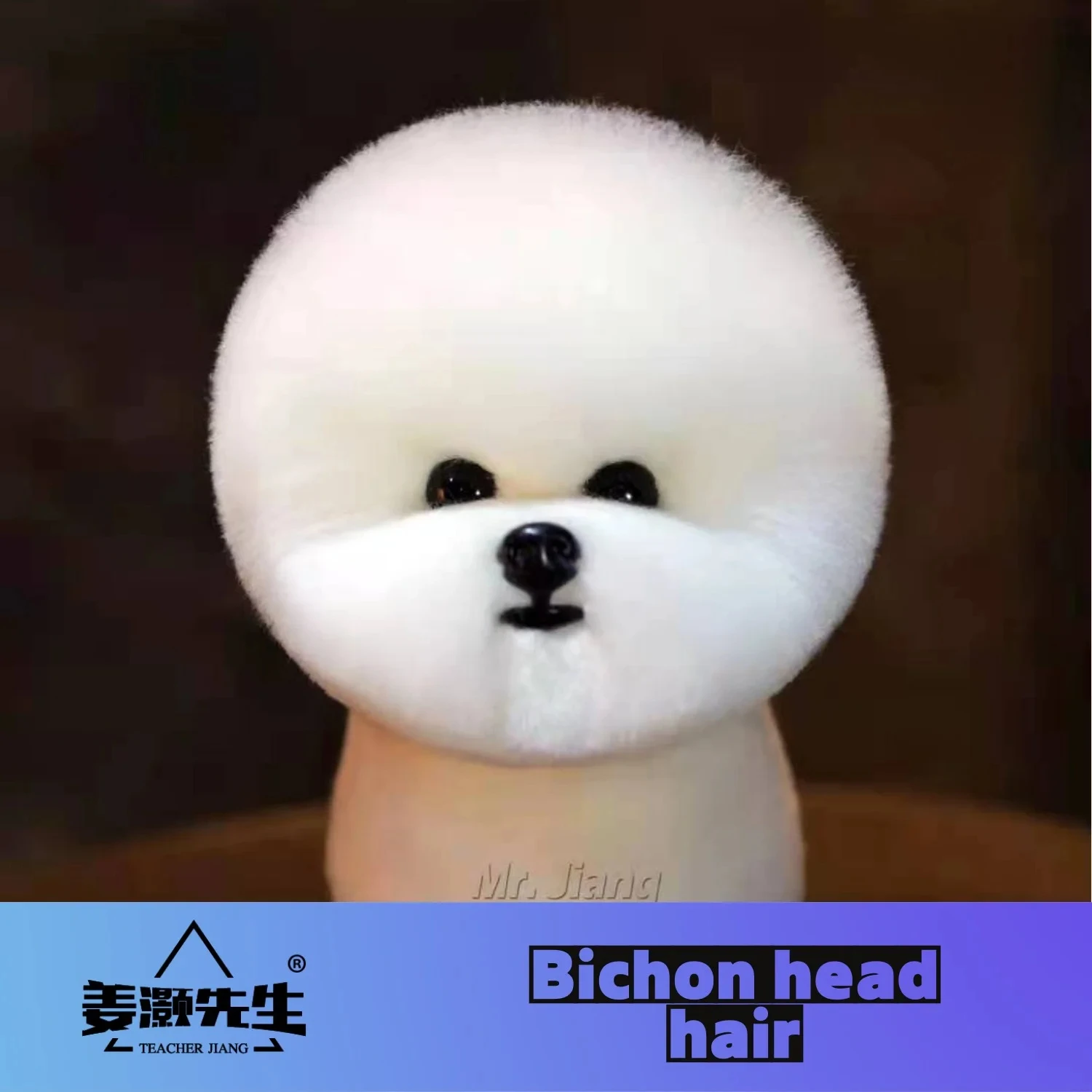 

Mr. Jiang Standard Bichon модель собаки, искусственные волосы для учителей или всего тела, для ухода за питомцами (без манекена