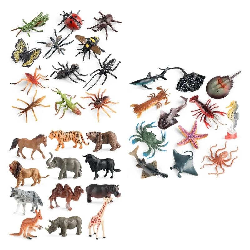 Realistic Animal Model for Science Exhibits and Classrooms Ocean Animal Model for Display and Collection 
Realistic Animal Model for Science Exhibits and Classrooms Ocean Animal Model for Display and Collection