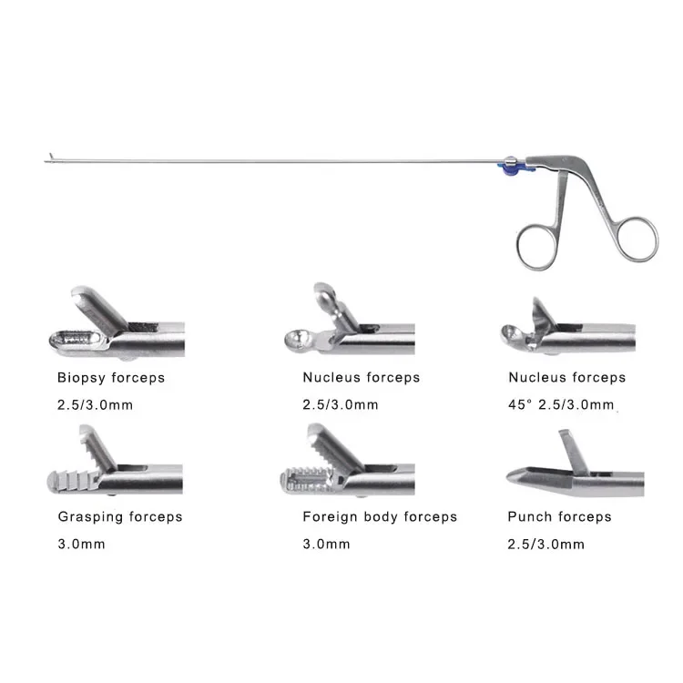 Spine endoscopy forceps Spine endoscopy instruments Transforaminal Endoscopic forceps
Spine endoscopy forceps Spine endoscopy instruments Transforaminal Endoscopic forceps