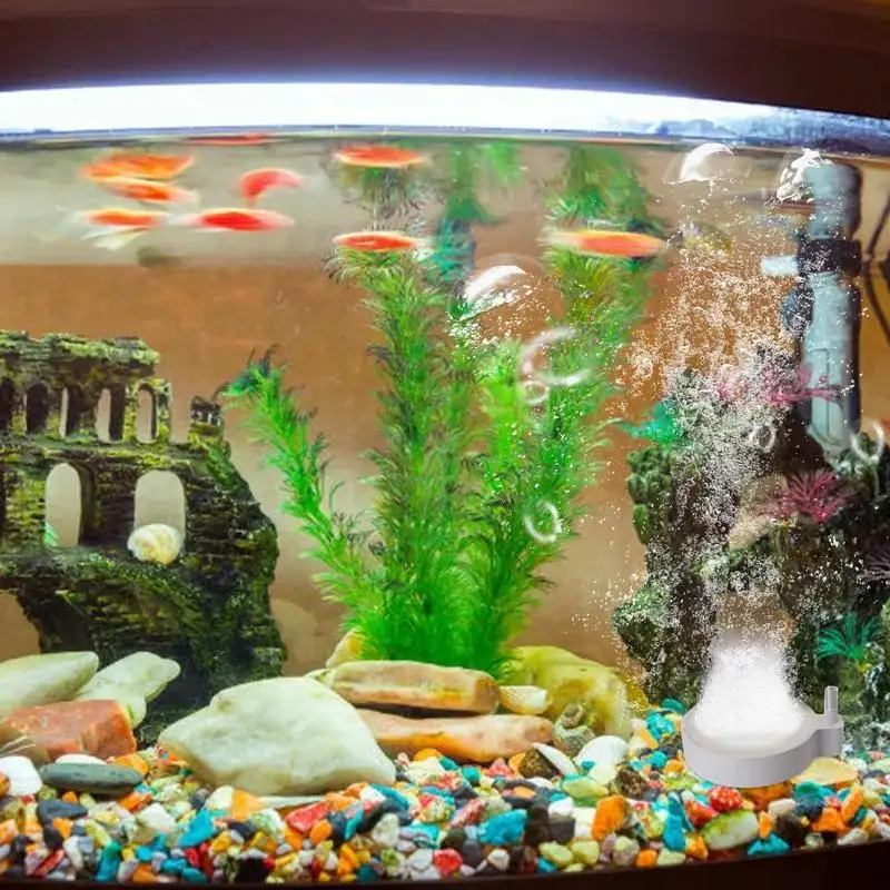 Air Stones For Aquariums Air Bubble Stone Oxygen Pump Fish Tank Disc Bubble Diffuser Release Tool Ponds Reservoirs Fish Tanks
Air Stones For Aquariums Air Bubble Stone Oxygen Pump Fish Tank Disc Bubble Diffuser Release Tool Ponds Reservoirs Fish Tanks