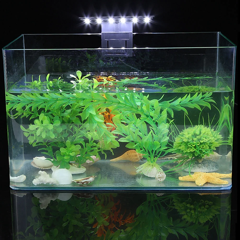 Fish Tank Clip on Lamp Waterproof LED Light Bar Mini Plants Grow Light Submersible Underwater Clip Lamp For Aquarium
Fish Tank Clip on Lamp Waterproof LED Light Bar Mini Plants Grow Light Submersible Underwater Clip Lamp For Aquarium