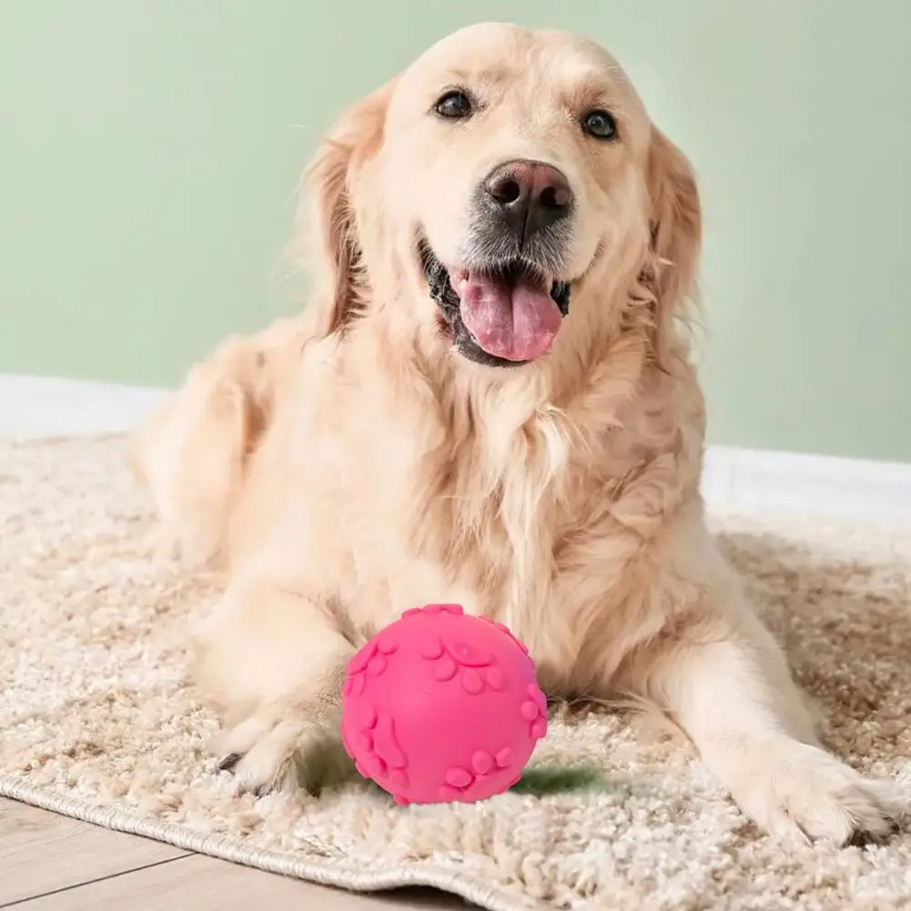 Dog Chewing Toy Bite-resistant Molar Ball Tpr Footprint Pattern Dog Chewing Sound Toy for Pet's Oral Health Teeth Cleaning Chew
Dog Chewing Toy Bite-resistant Molar Ball Tpr Footprint Pattern Dog Chewing Sound Toy for Pet's Oral Health Teeth Cleaning Chew