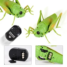 Remote Control Simulation Grasshopper Animal Infrared Simulation Animal Grasshopper Model Novel Electric Toy Horror
Remote Control Simulation Grasshopper Animal Infrared Simulation Animal Grasshopper Model Novel Electric Toy Horror