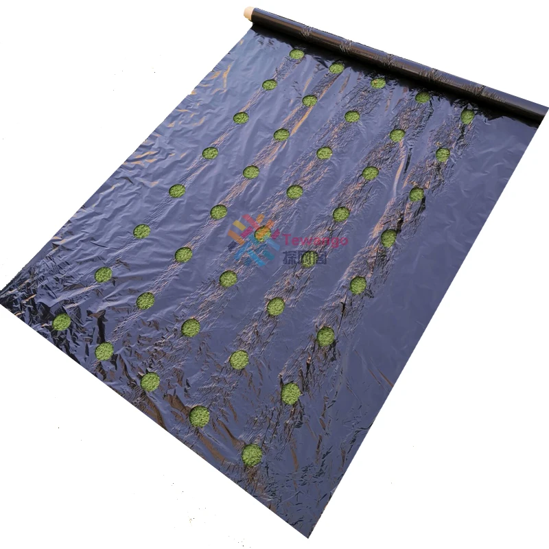 

Tewango Biodegradeable Weed Control Mulch Film Allotments Veg Patch Borders 0.95m x 10m/20/50M Ground Cover 0.02MM Thickness