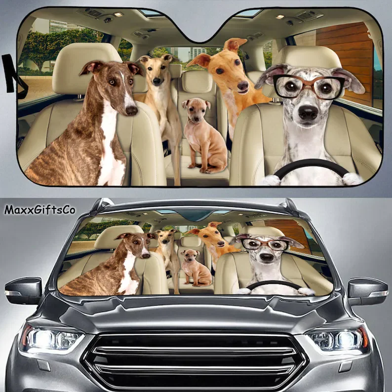 Greyhound Car Sun Shade, Greyhound Windshield, Dogs Family Sunshade, Greyhound Car Accessories, Greyhound Lovers Gift, Car Decor
Greyhound Car Sun Shade, Greyhound Windshield, Dogs Family Sunshade, Greyhound Car Accessories, Greyhound Lovers Gift, Car Decor