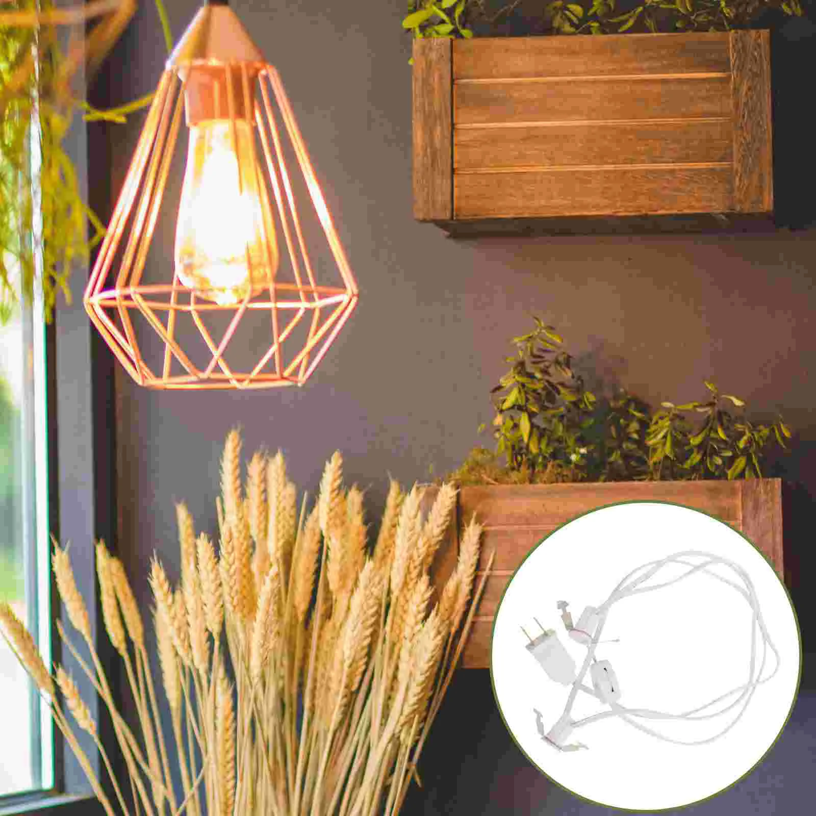 Lamp Kit Portable Lamp Cord Outdoor Decor Replacement Halloween Pumpkin Lamp Cord
Lamp Kit Portable Lamp Cord Outdoor Decor Replacement Halloween Pumpkin Lamp Cord