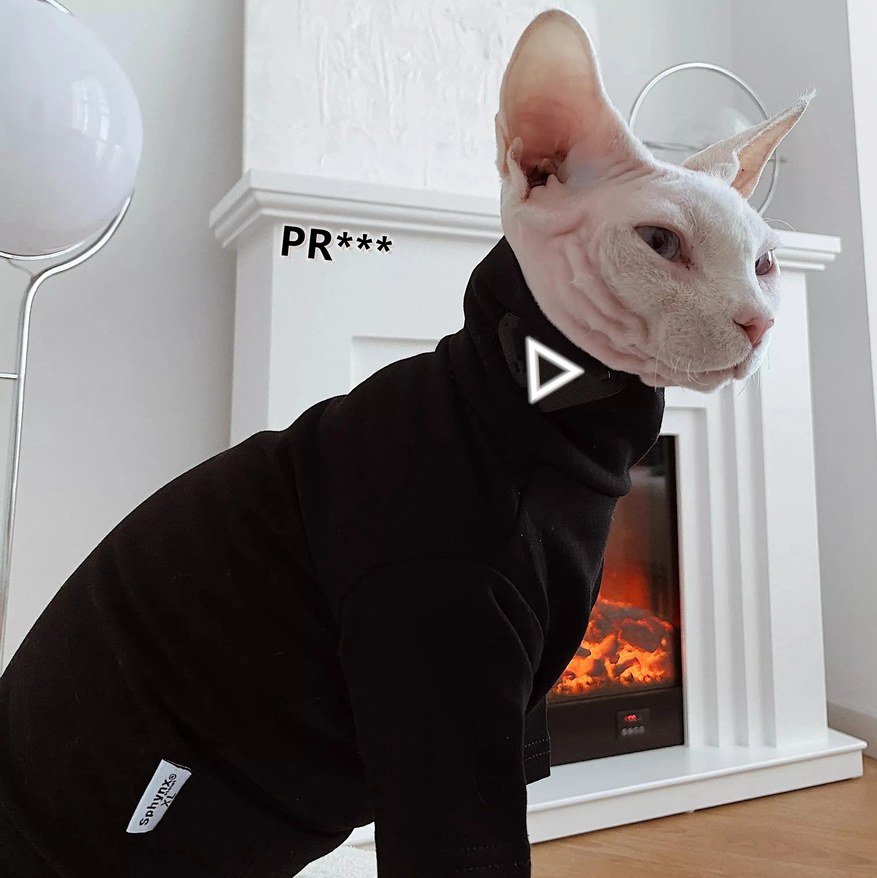 

Luxury Brand Classic Silver Triangle Logo Pet Cotton Top Dog Clothing Wholesale Spring And Summer High-End Custom