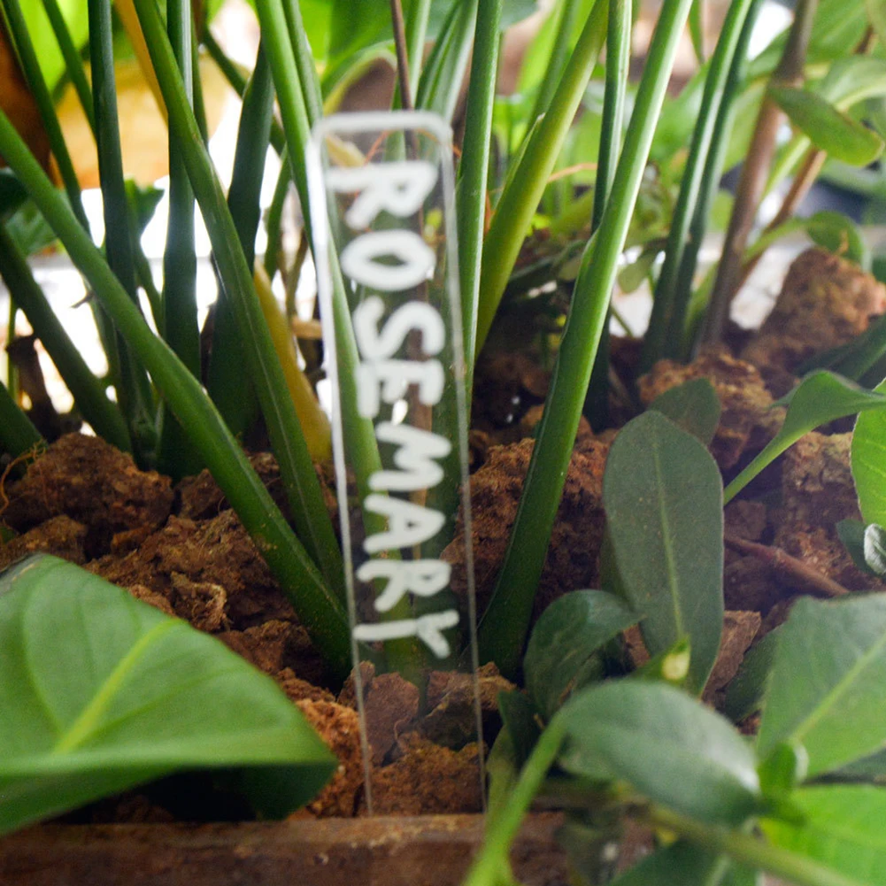 Label Signage Décor Eco-friendly Flower Potted Garden Gardening Plant Markers Tag T-Type Transparent Brand New
Label Signage Décor Eco-friendly Flower Potted Garden Gardening Plant Markers Tag T-Type Transparent Brand New