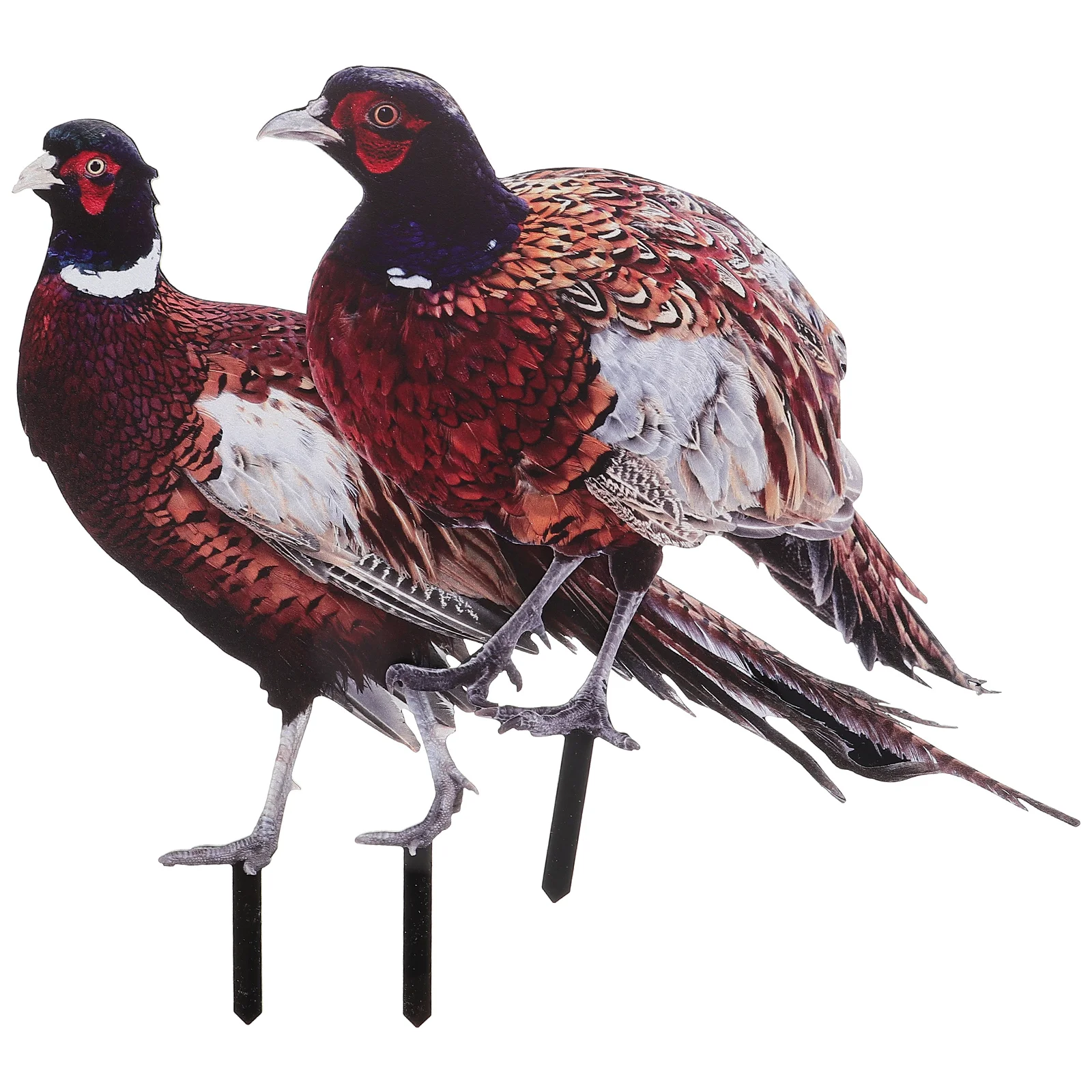 2 Pcs Garden Figures Pheasant Garden Decoration Figures Sculpture Lawn Sign Accessory Insert Acrylic Stake Wood Pile
2 Pcs Garden Figures Pheasant Garden Decoration Figures Sculpture Lawn Sign Accessory Insert Acrylic Stake Wood Pile