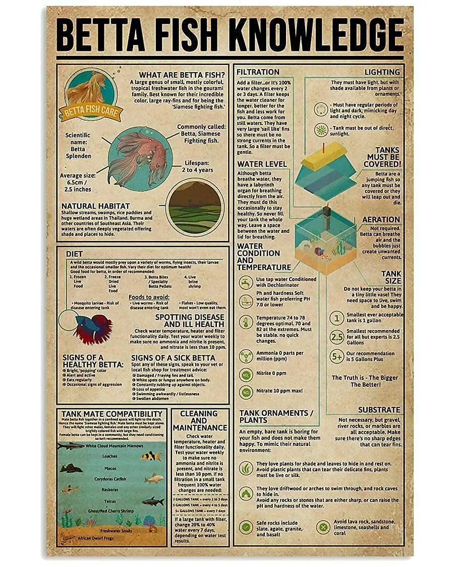 Veidsuh Betta Fish Knowledge Retro Poster Plaque for Club Cafe Bar Home Kitchen Wall Decoration
Veidsuh Betta Fish Knowledge Retro Poster Plaque for Club Cafe Bar Home Kitchen Wall Decoration
