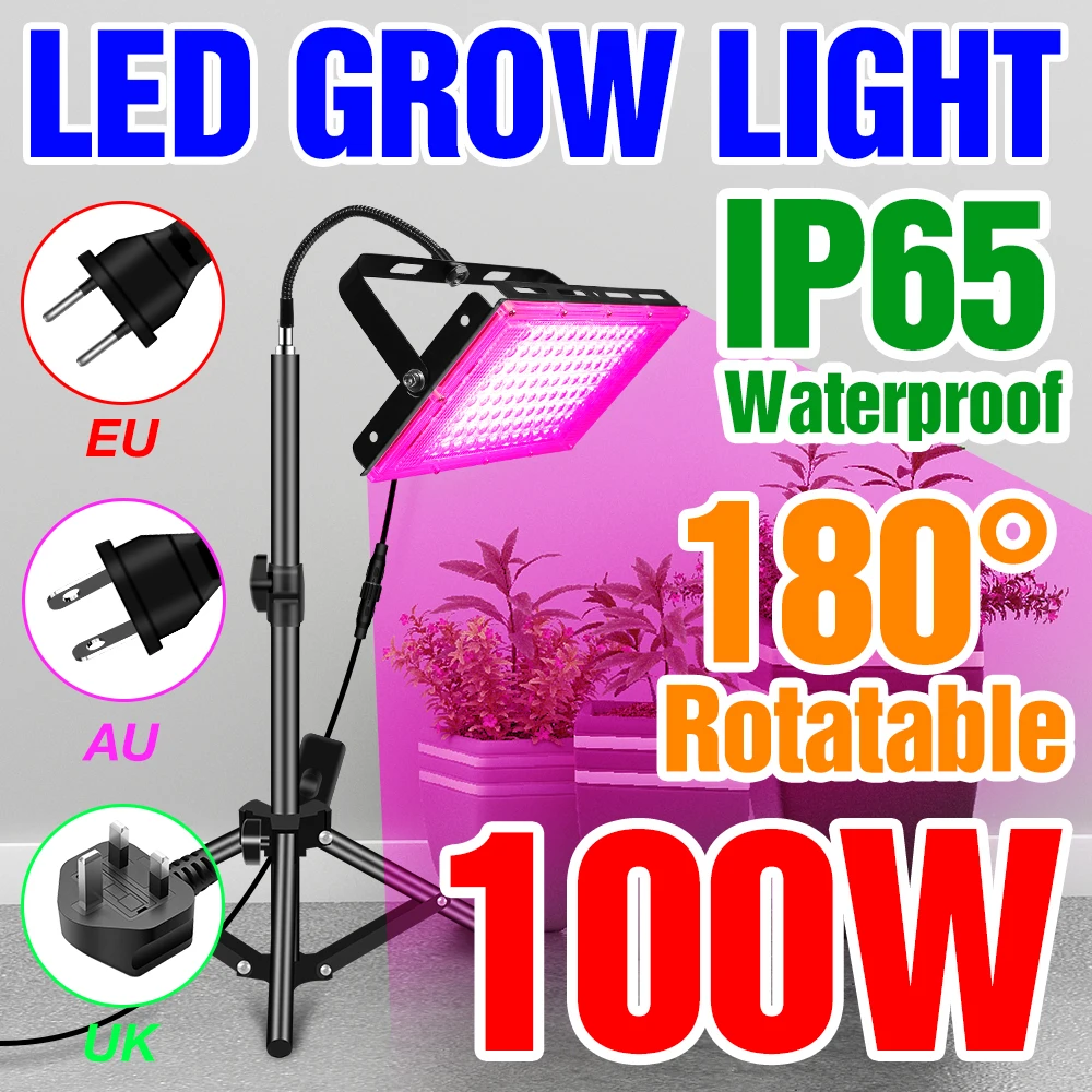 Led Plant Growth Lamp Frame Full Spectrum Seeds Of Indoor Flowers 220V Hydroponics Growing System 20W 50W 100W Lamp For Plants
Led Plant Growth Lamp Frame Full Spectrum Seeds Of Indoor Flowers 220V Hydroponics Growing System 20W 50W 100W Lamp For Plants