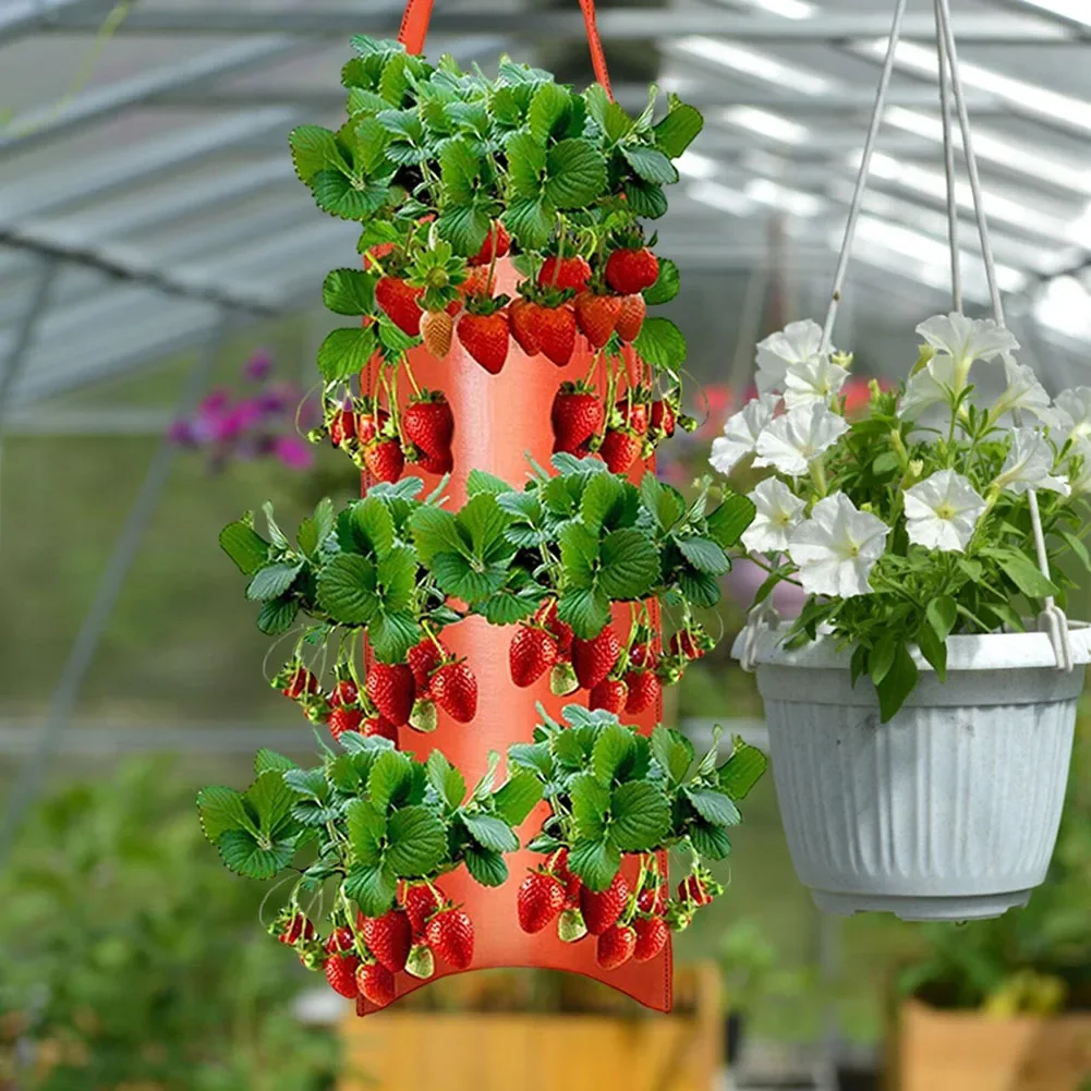 Plant Grow Bag Hanging Strawberry Grow Bag Upside Down Tomato Potato Vegetable Flower Plant Grow Bags Garden Decoration
Plant Grow Bag Hanging Strawberry Grow Bag Upside Down Tomato Potato Vegetable Flower Plant Grow Bags Garden Decoration