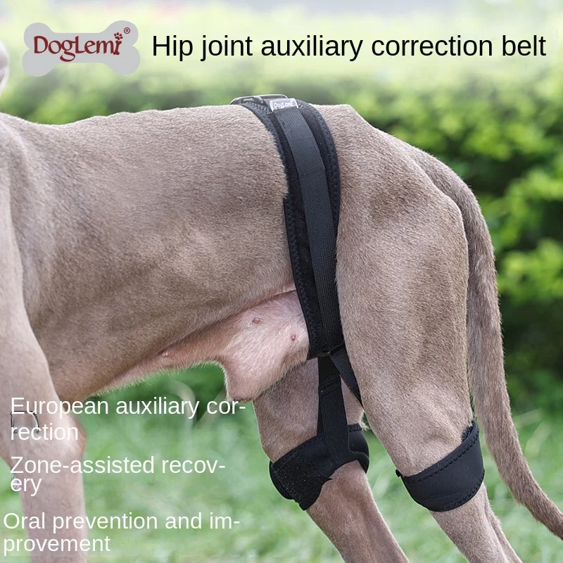 Pet Protective Gear Dog Hip Joint Auxiliary Correction Belt Injury Auxiliary Recovery Belt Joint Postoperative Protective Gear
Pet Protective Gear Dog Hip Joint Auxiliary Correction Belt Injury Auxiliary Recovery Belt Joint Postoperative Protective Gear