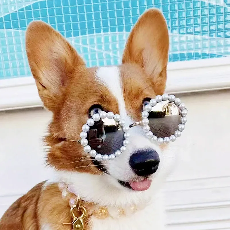 Pet Sunglasses Dog Pearl Sunglasses Teddy Chihuahua Photo Sunglasses Headdress Pearl Sunglasses Dog Accessories
Pet Sunglasses Dog Pearl Sunglasses Teddy Chihuahua Photo Sunglasses Headdress Pearl Sunglasses Dog Accessories