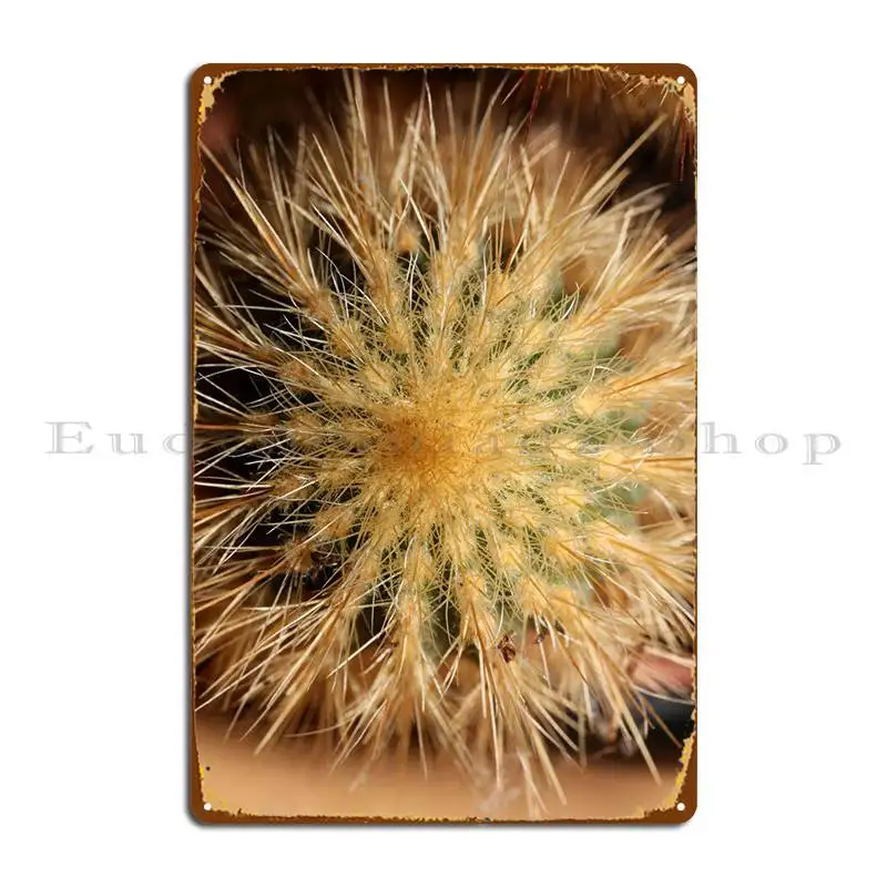 Cactus Close Up Background Metal Sign Design Pub Wall Plaque Classic Tin Sign Poster
Cactus Close Up Background Metal Sign Design Pub Wall Plaque Classic Tin Sign Poster