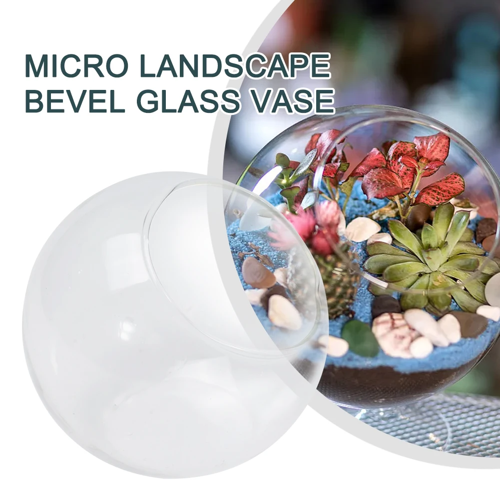 Micro Landscape Glass Vase Succulent Plant Terrarium Container Flower Pots Glass Container Flower Pot HomeFlower Pots Planters
Micro Landscape Glass Vase Succulent Plant Terrarium Container Flower Pots Glass Container Flower Pot HomeFlower Pots Planters