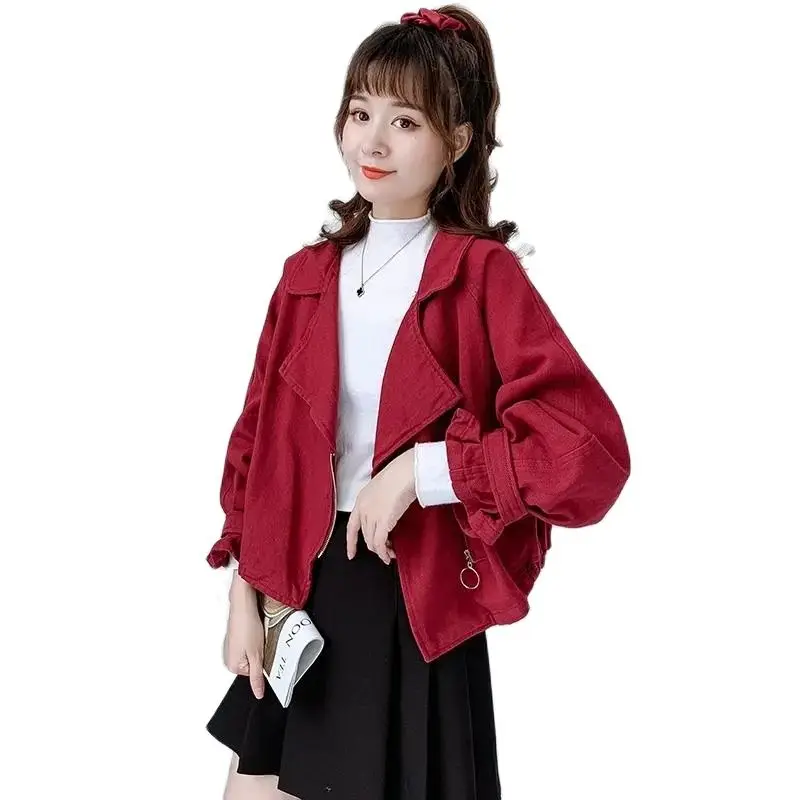 Lotus Leaf Sleeve Denim Women's Spring And Autumn Korean Style Loose And Thin Suit Collar Long-sleeved StitchingLady Top
Lotus Leaf Sleeve Denim Women's Spring And Autumn Korean Style Loose And Thin Suit Collar Long-sleeved StitchingLady Top