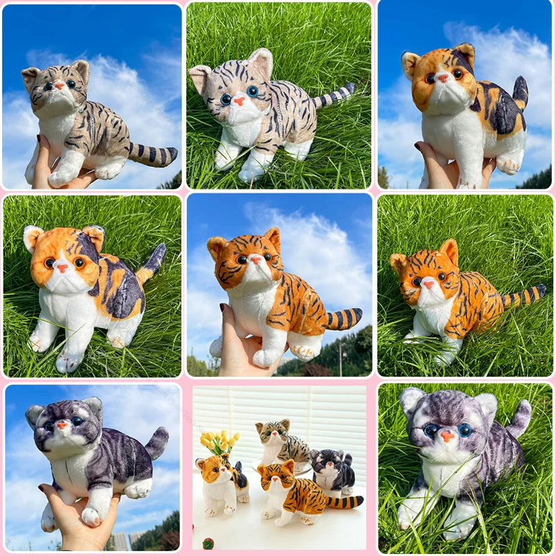 Adorable Round Face Cat Plushie Doll Stuffed Animal Lifelike Soft Kitten Plush Toy Home Decor for Girls Kids Xmas Birthday Gifts
Adorable Round Face Cat Plushie Doll Stuffed Animal Lifelike Soft Kitten Plush Toy Home Decor for Girls Kids Xmas Birthday Gifts