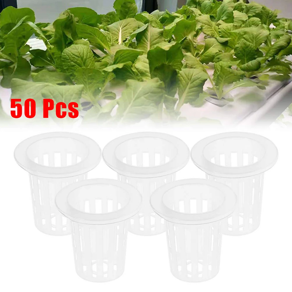 Net Cup Pots Plant Plastic Replacement Spare Parts UV Resistant 50x Accessories Aquaponics Basket Bucket Garden
Net Cup Pots Plant Plastic Replacement Spare Parts UV Resistant 50x Accessories Aquaponics Basket Bucket Garden