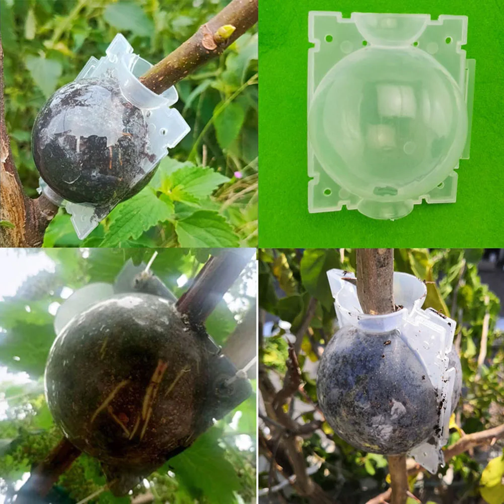 5cm High-Pressure Propagation Plant Rooting Balls Root Grow Box Graft Breeding Growing Case Transparent Planting Nursery
5cm High-Pressure Propagation Plant Rooting Balls Root Grow Box Graft Breeding Growing Case Transparent Planting Nursery