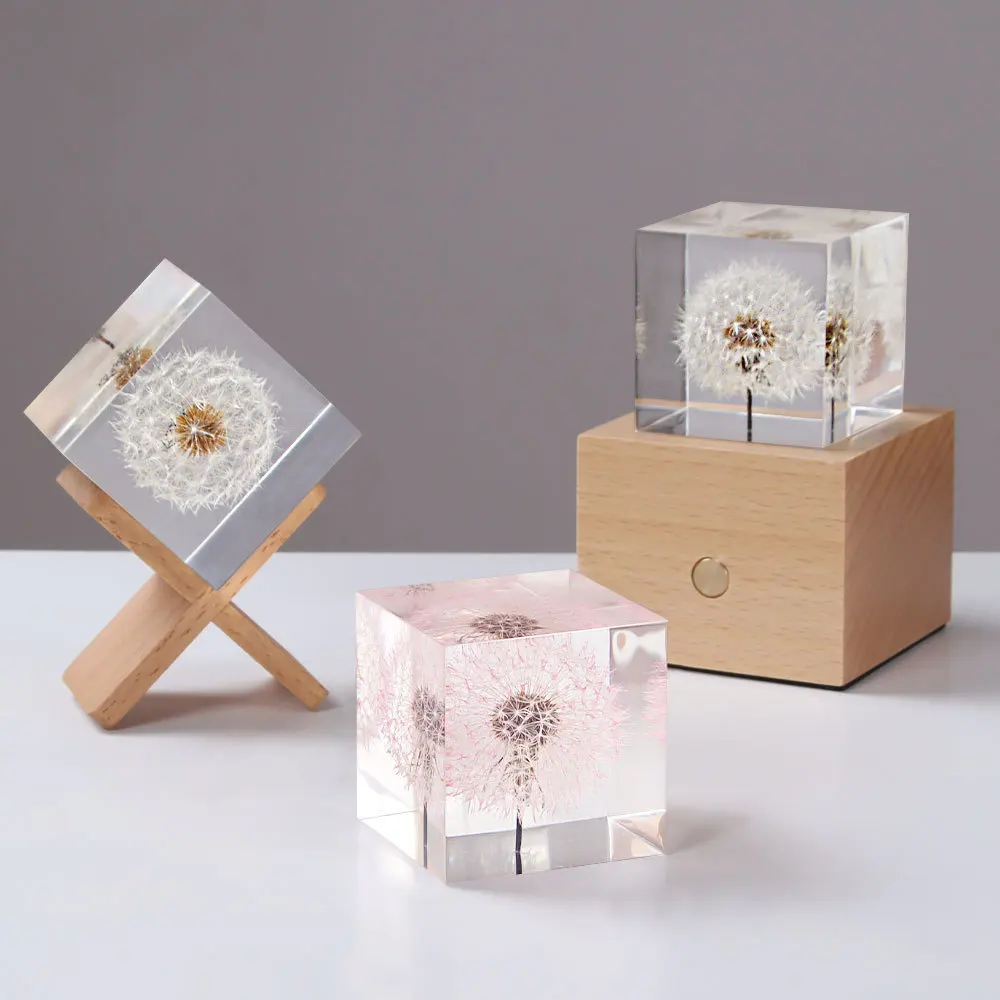 

Dandelion Specimen Eternal Flower Artwork Square Resin Crystal Decoration Creative Home Christmas Gift Night Light