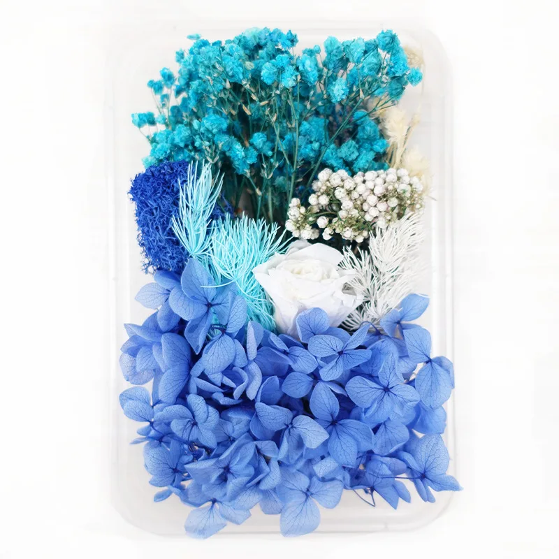 Mixed Natural Dried Flowers Material DIY Art Floral Decors Collection Gift Craft DIY Home Decoration Dried Pressed Flowers
Mixed Natural Dried Flowers Material DIY Art Floral Decors Collection Gift Craft DIY Home Decoration Dried Pressed Flowers